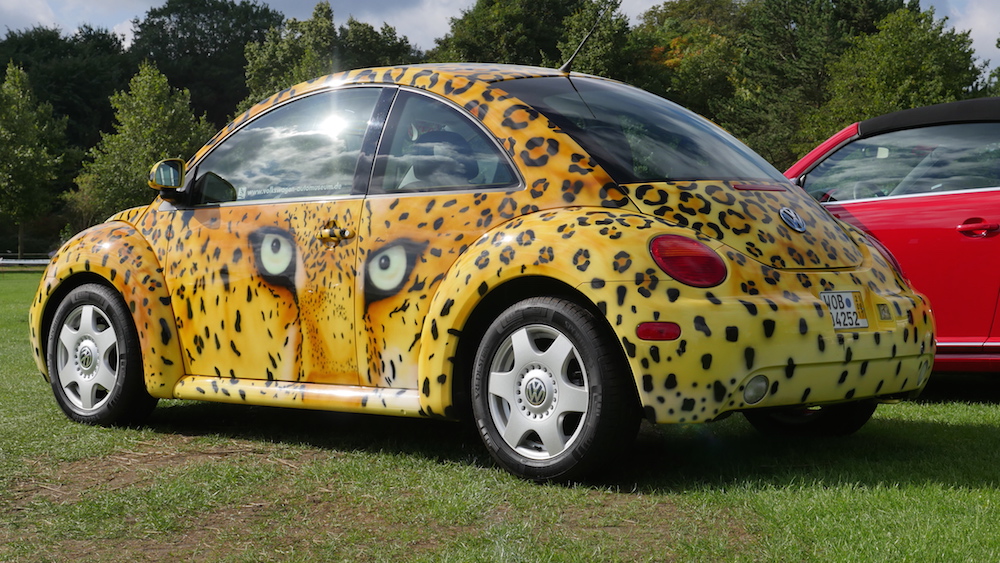 vw beetle safari
